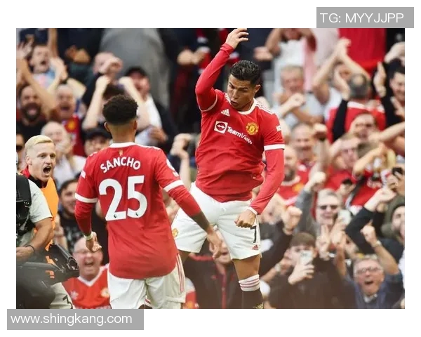 汤森德水晶宫主场迎战西布朗全力争胜的精彩对决